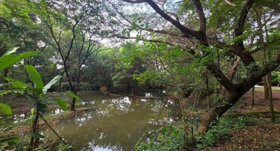 出售 土地 在 Bang Lamung, Chon Buri