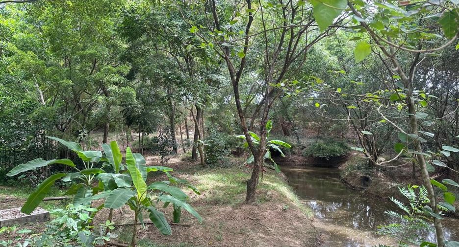 出售 土地 在 Bang Lamung, Chon Buri
