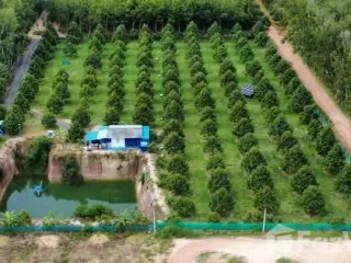 Продажа Участок в Мыанг Районг, Районг