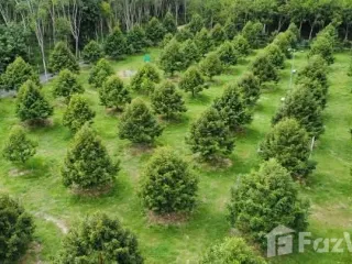 Продажа Участок в Мыанг Районг, Районг