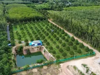 Продажа Участок в Мыанг Районг, Районг