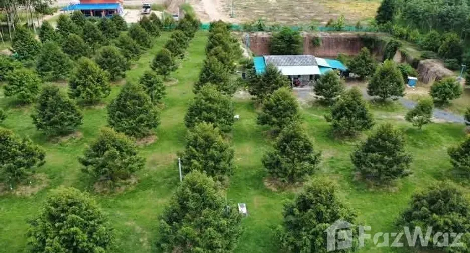 Продажа Участок в Мыанг Районг, Районг