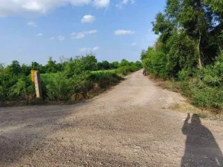 Продажа Участок в Khlong Luang, Патумтани