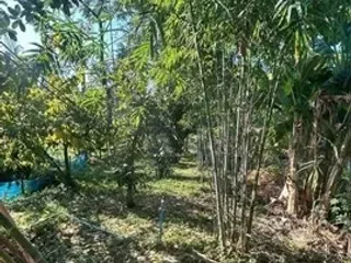 Продажа Участок в Sai Noi, Нонтабури