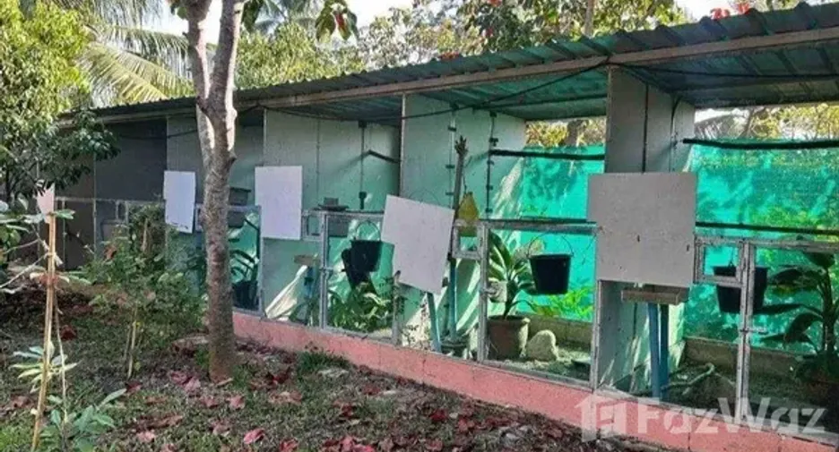 Продажа Участок в Sai Noi, Нонтабури