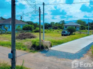 For sale land in Mueang Rayong, Rayong