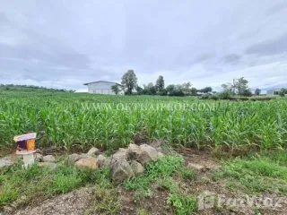 Продажа Участок в Bueng Sam Phan, Phetchabun