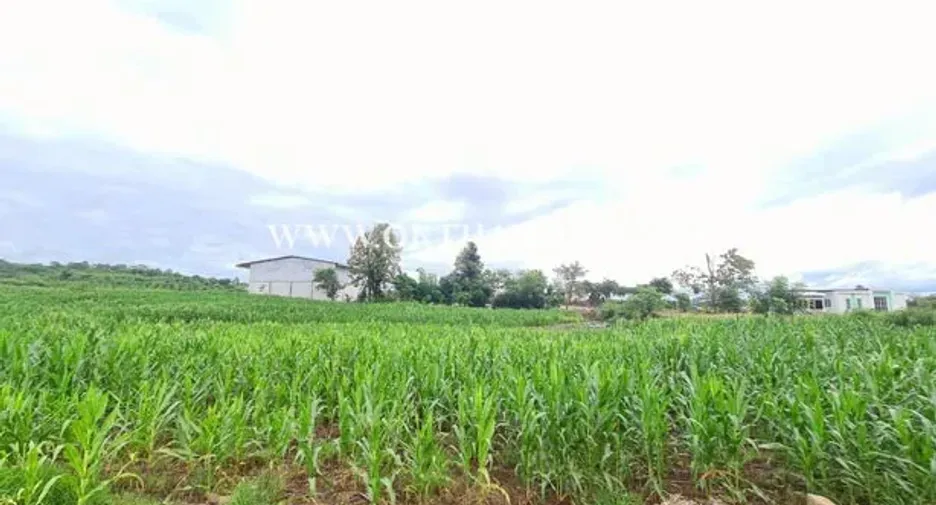 Продажа Участок в Bueng Sam Phan, Phetchabun