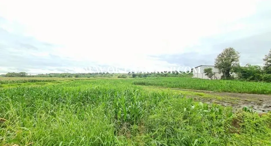 Продажа Участок в Bueng Sam Phan, Phetchabun