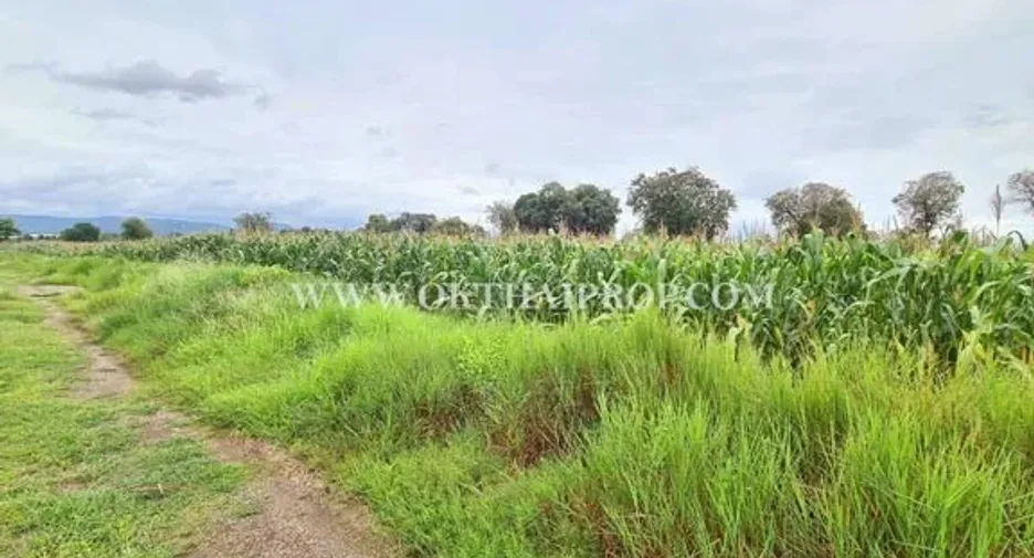 Продажа Участок в Bueng Sam Phan, Phetchabun