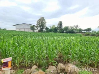 Продажа Участок в Bueng Sam Phan, Phetchabun
