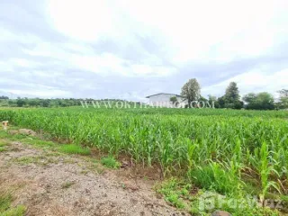 Продажа Участок в Bueng Sam Phan, Phetchabun
