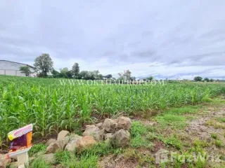 Продажа Участок в Bueng Sam Phan, Phetchabun