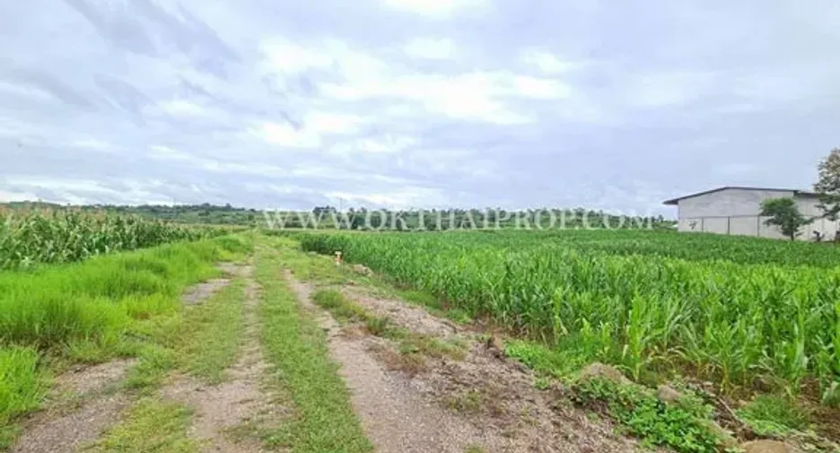 Продажа Участок в Bueng Sam Phan, Phetchabun