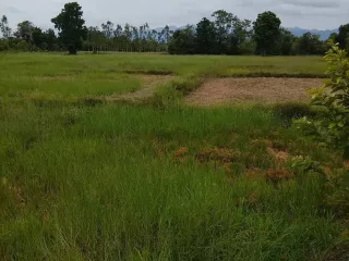 Продажа Участок в Mueang Phrae, Пхрэ