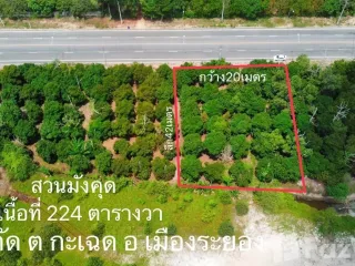 Продажа Участок в Клаенг, Районг