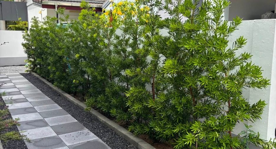 For rent 3 bedrooms house in Mueang Phuket, Phuket