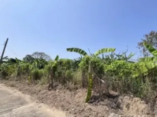 ขาย ที่ดิน ใน มีนบุรี, กรุงเทพฯ