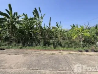 ขาย ที่ดิน ใน มีนบุรี, กรุงเทพฯ