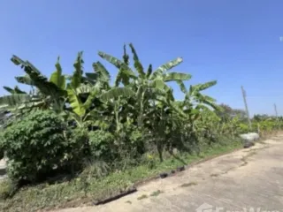 ขาย ที่ดิน ใน มีนบุรี, กรุงเทพฯ