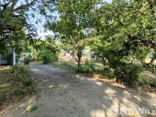 For sale land in San Kamphaeng, Chiang Mai