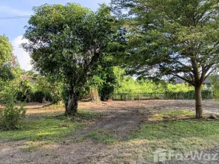 For sale land in San Kamphaeng, Chiang Mai