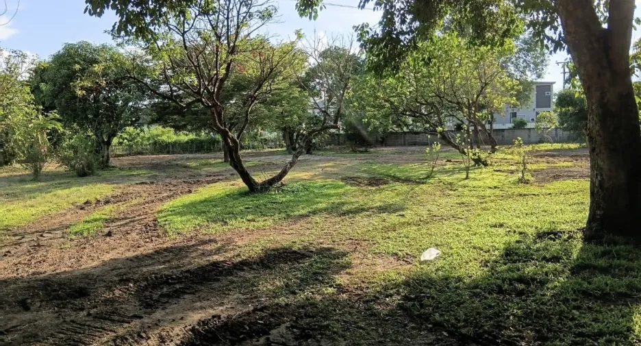 For sale land in San Kamphaeng, Chiang Mai