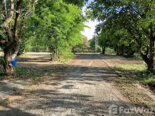 For sale land in San Kamphaeng, Chiang Mai