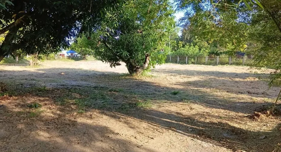 For sale land in San Kamphaeng, Chiang Mai