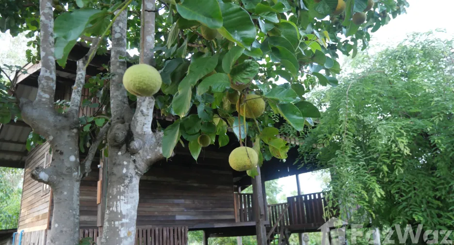 Продажа 2 спальни дом в Hang Chat, Lampang