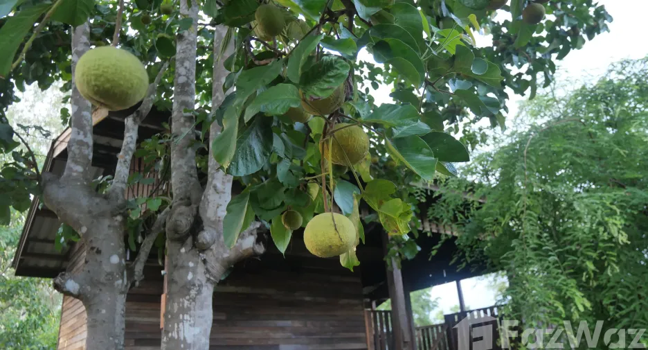 Продажа 2 спальни дом в Hang Chat, Lampang