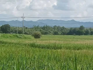 Продажа Участок в Ko Kha, Lampang