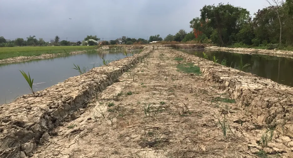 Продажа Участок в Sai Noi, Нонтабури