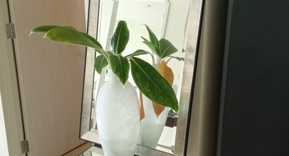 For sale 2 bedrooms condo in Khlong Toei, Bangkok