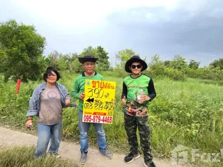 Продажа Участок в Sai Noi, Нонтабури