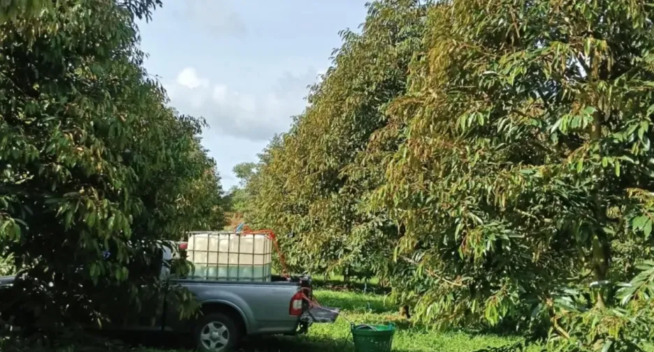 For sale land in Na Bon, Nakhon Si Thammarat