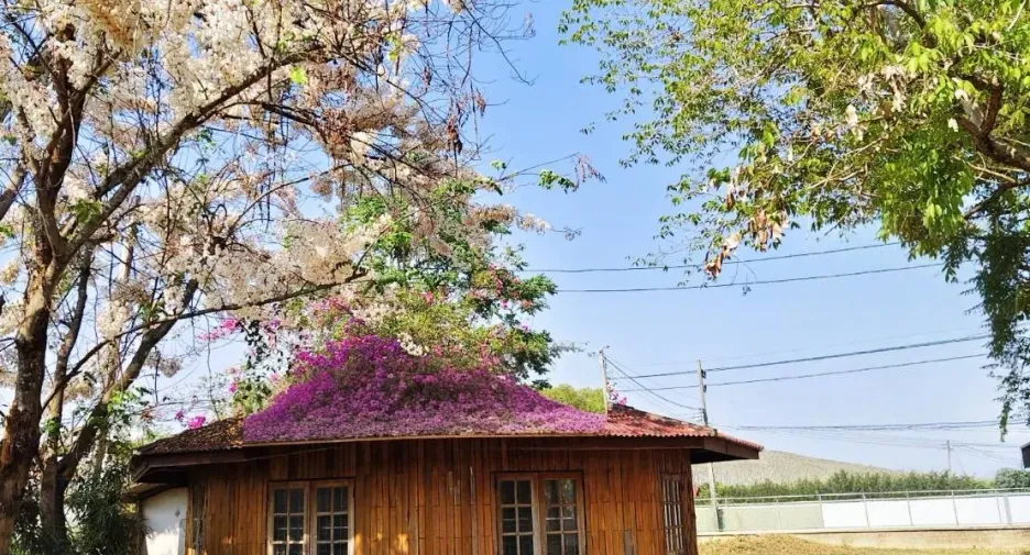 出售 土地 在 Mueang Phrae, Phrae