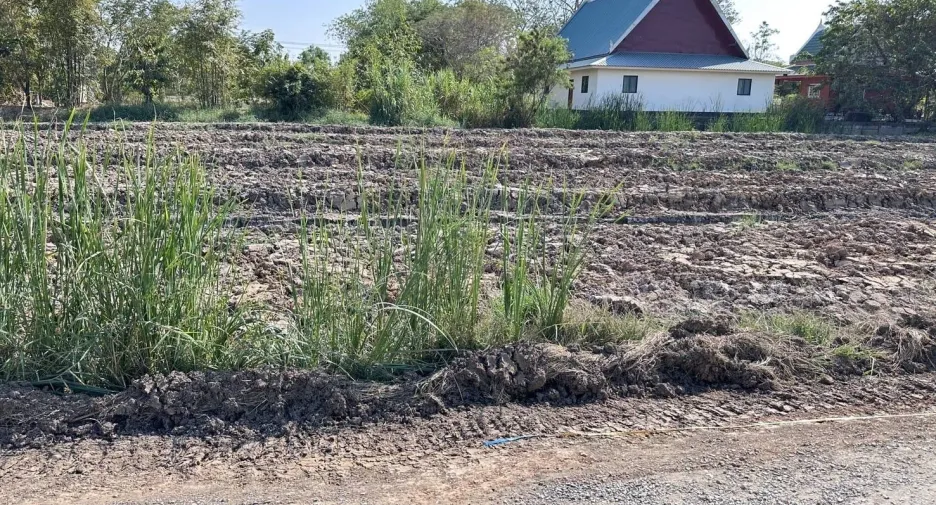 Продажа Участок в Khlong Luang, Патумтани