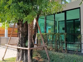 For rent 5 bedrooms house in Lam Luk Ka, Pathum Thani