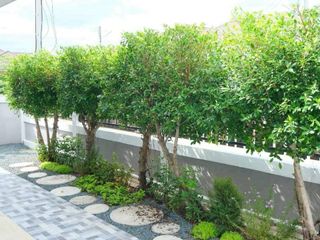 出售 3 卧室 独立屋 在 Doi Saket, Chiang Mai