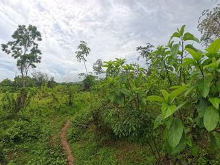 Terreno en venta en Thalang, Phuket
