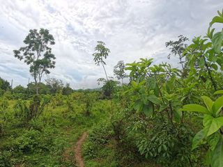Terreno en venta en Thalang, Phuket