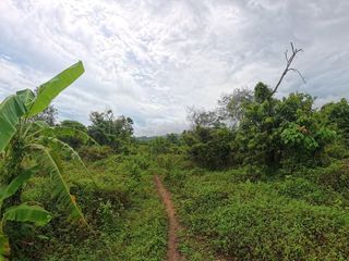 Terreno en venta en Thalang, Phuket