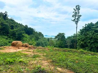 Grundstück zum Kauf in Mueang Phuket, Phuket