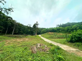 Grundstück zum Kauf in Mueang Phuket, Phuket
