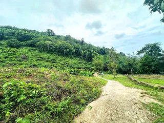 Grundstück zum Kauf in Mueang Phuket, Phuket
