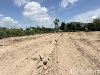 Продажа Участок в Ча Ам, Пхетбури