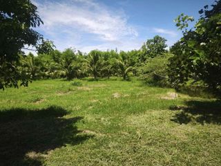 Grundstück zum Kauf in Pran Buri, Prachuap Khiri Khan