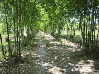Grundstück zum Kauf in Pran Buri, Prachuap Khiri Khan