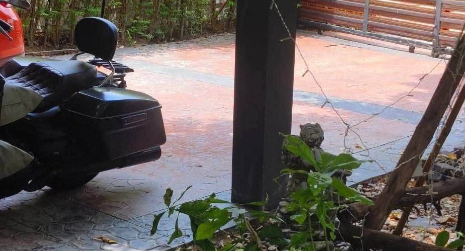 For rent 3 bedrooms house in Lat Krabang, Bangkok